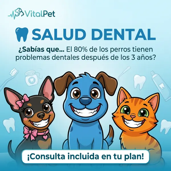 VitalPet